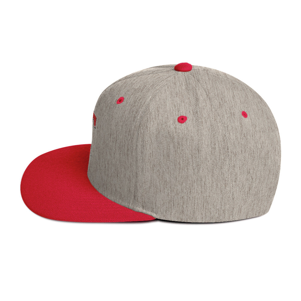 Snapback Hat Embroidered Triton Logo
