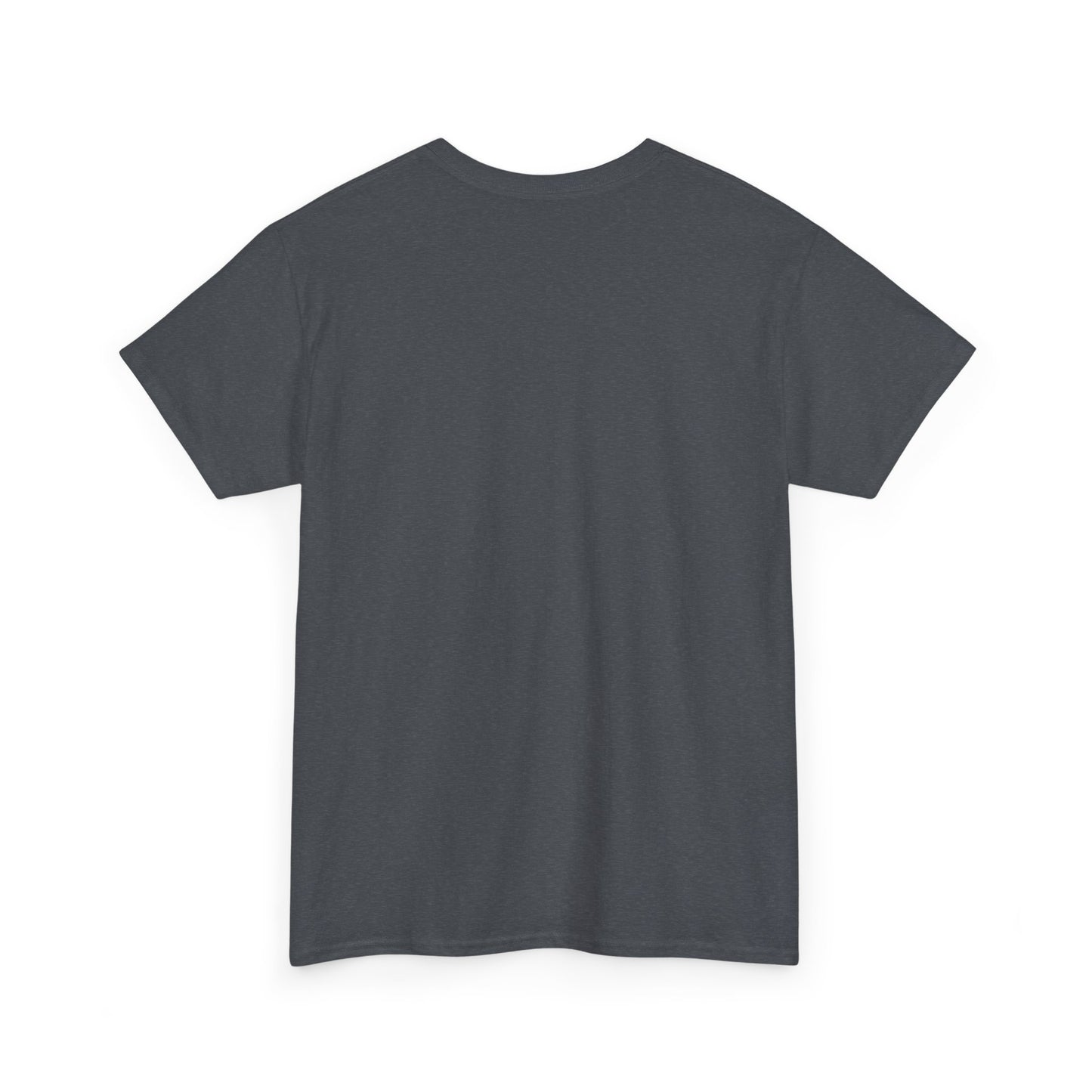 San Clemente Lacrosse Unisex Heavy Cotton Tee Aviation T-shirt