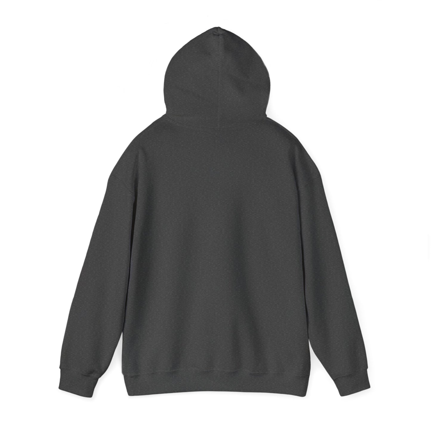 Unisex Heavy Blend™ Hooded Sweatshirt SC