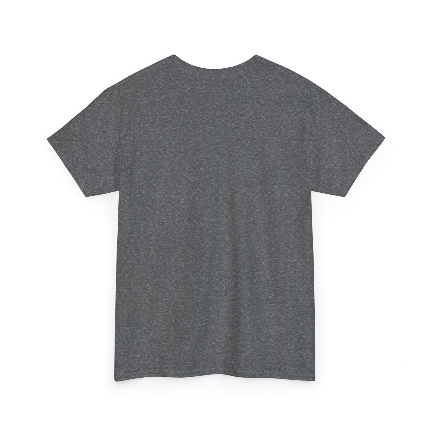 San Clemente Lacrosse Unisex Heavy Cotton Tee Aviation T-shirt
