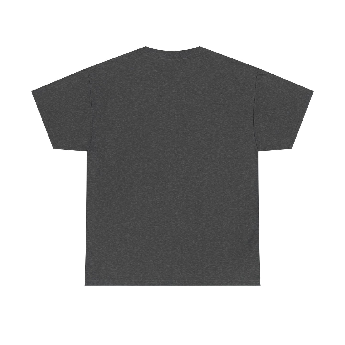 San Clemente Lacrosse Unisex Heavy Cotton Tee Aviation T-shirt