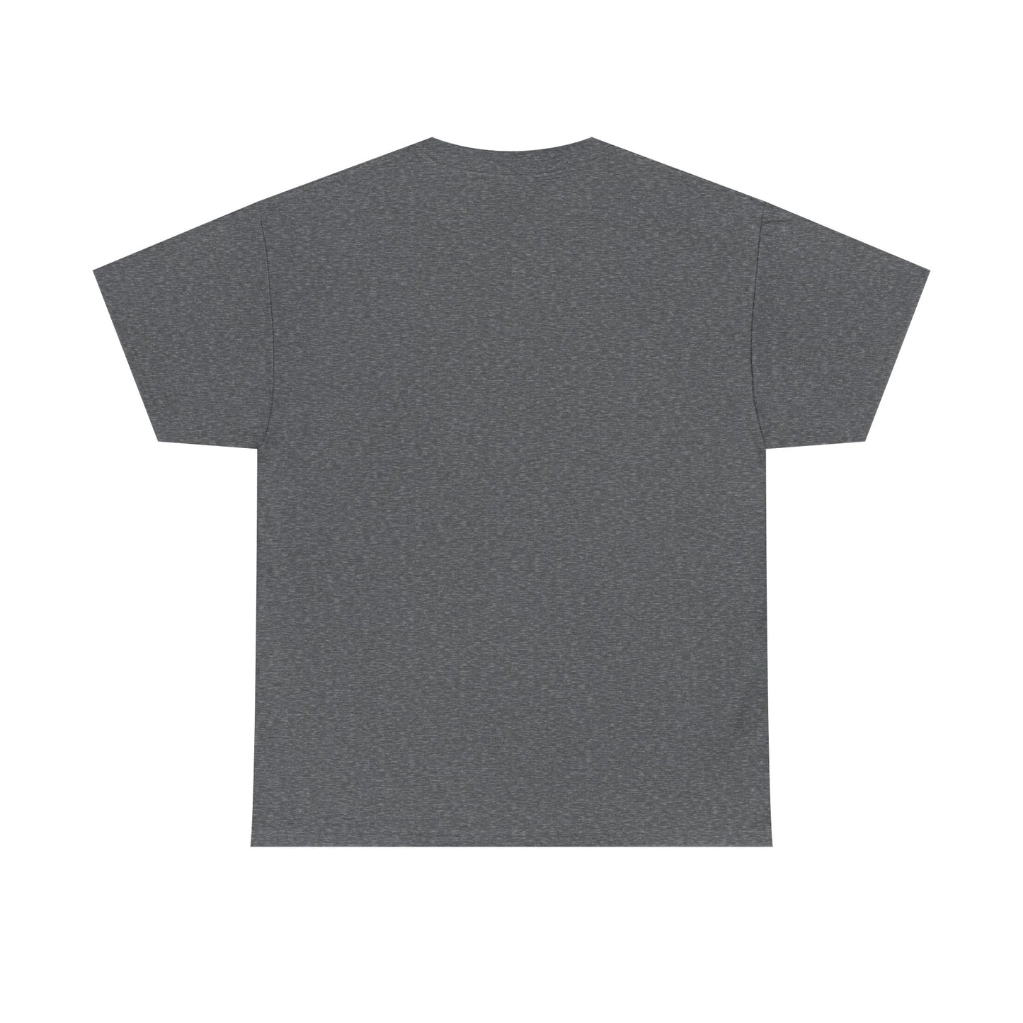 San Clemente Lacrosse Unisex Heavy Cotton Tee Aviation T-shirt