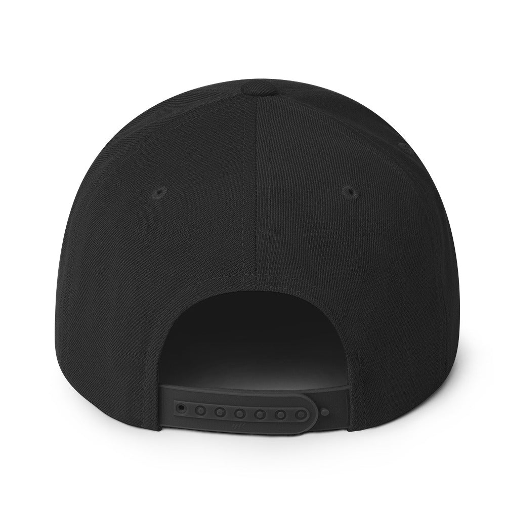 Snapback Hat Embroidered Triton Logo