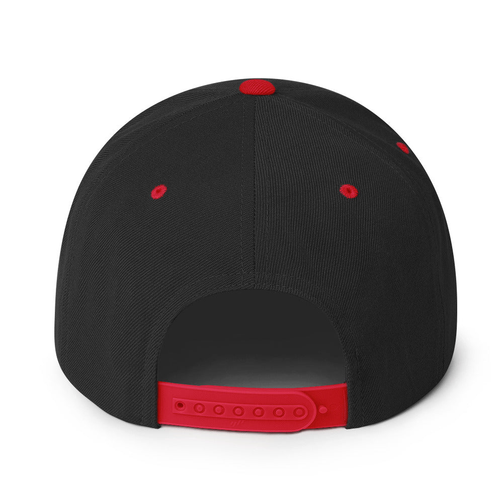 Snapback Hat Embroidered Triton Logo