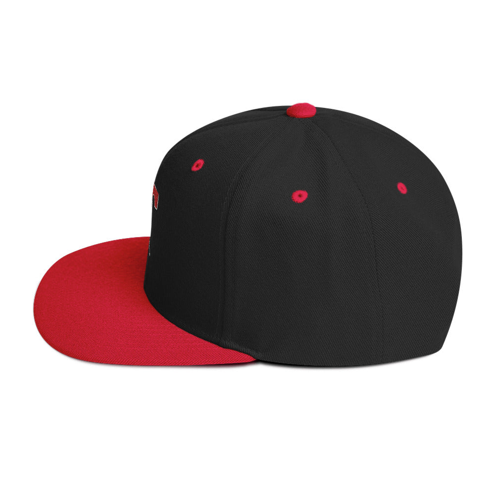 Snapback Hat Embroidered Triton Logo