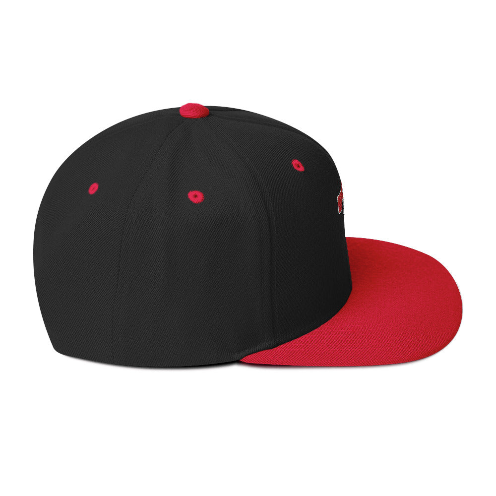 Snapback Hat Embroidered Triton Logo