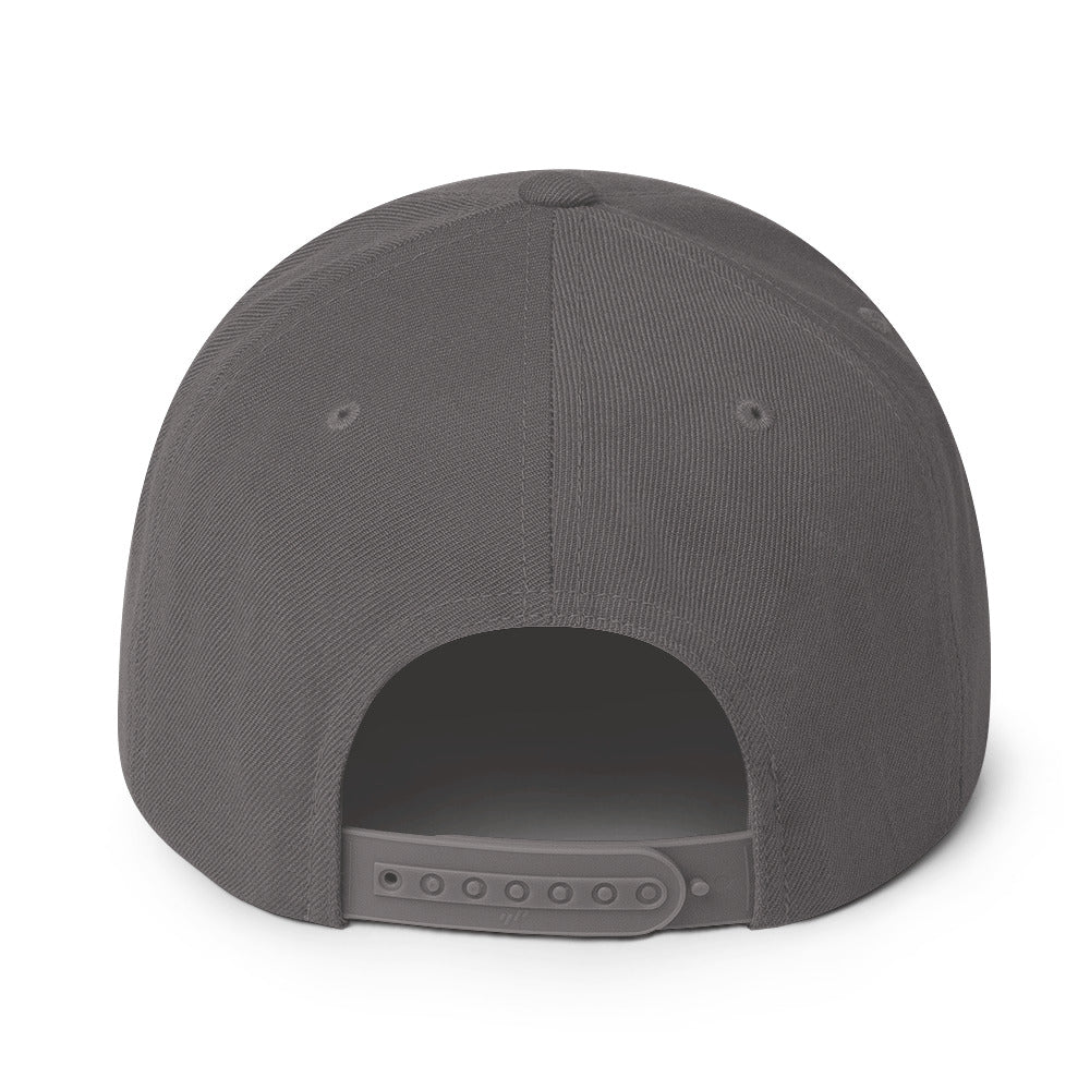 Snapback Hat Embroidered Triton Logo