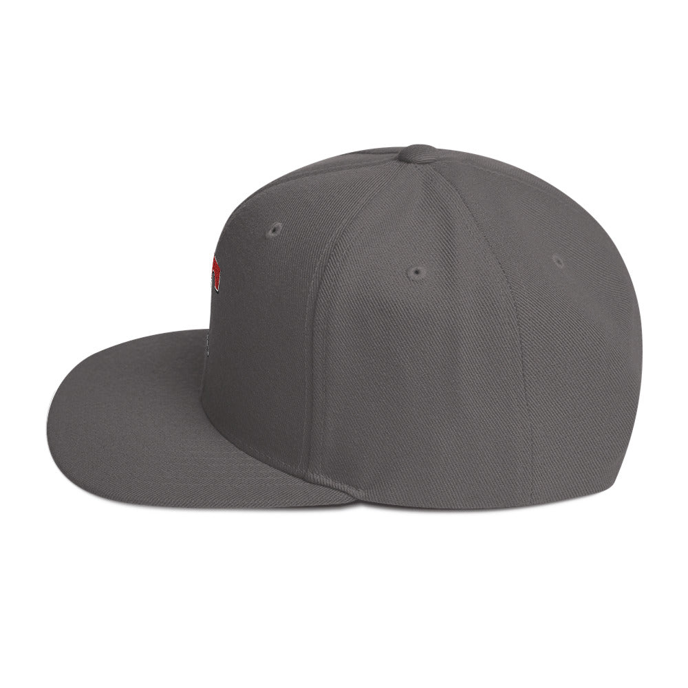 Snapback Hat Embroidered Triton Logo