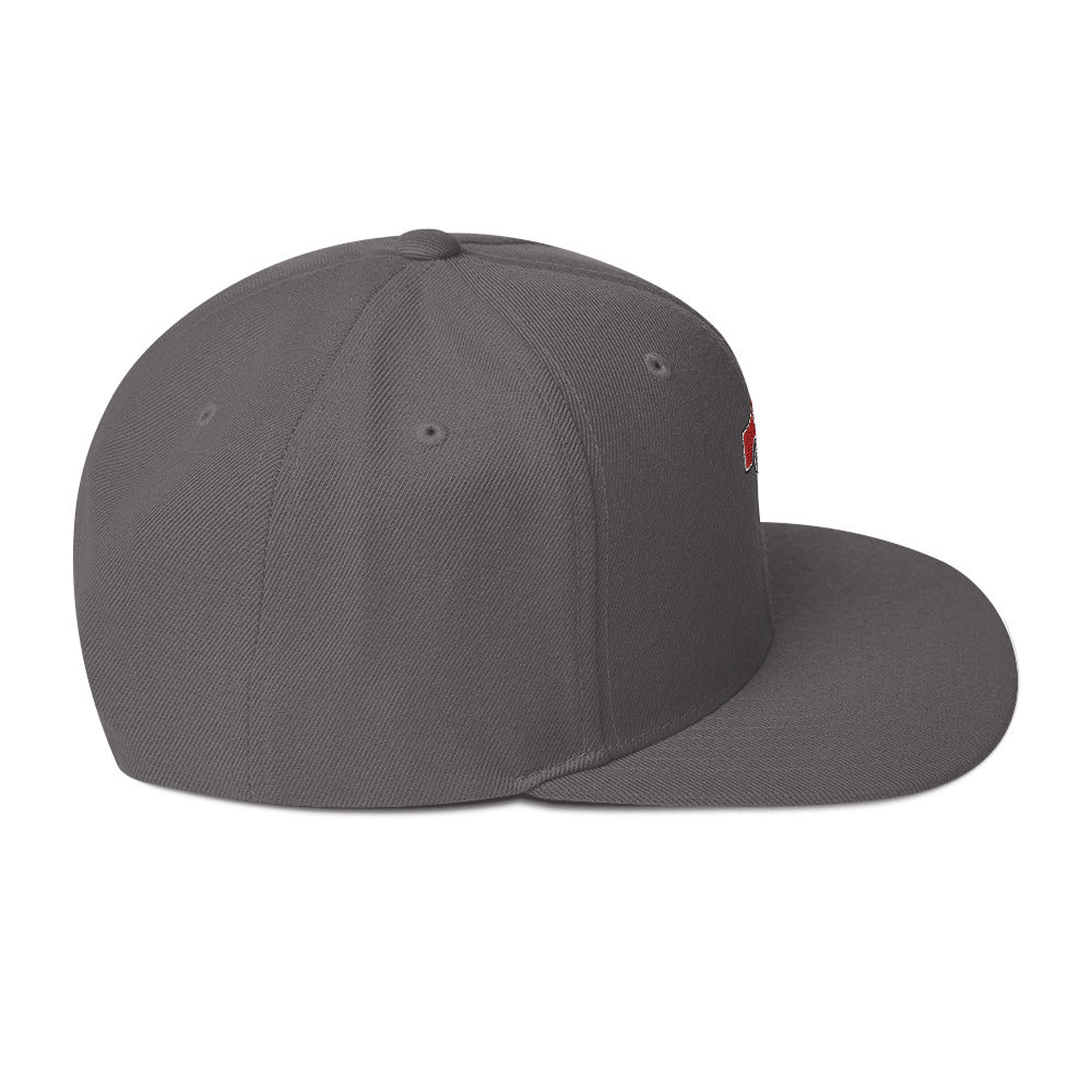 Snapback Hat Embroidered Triton Logo