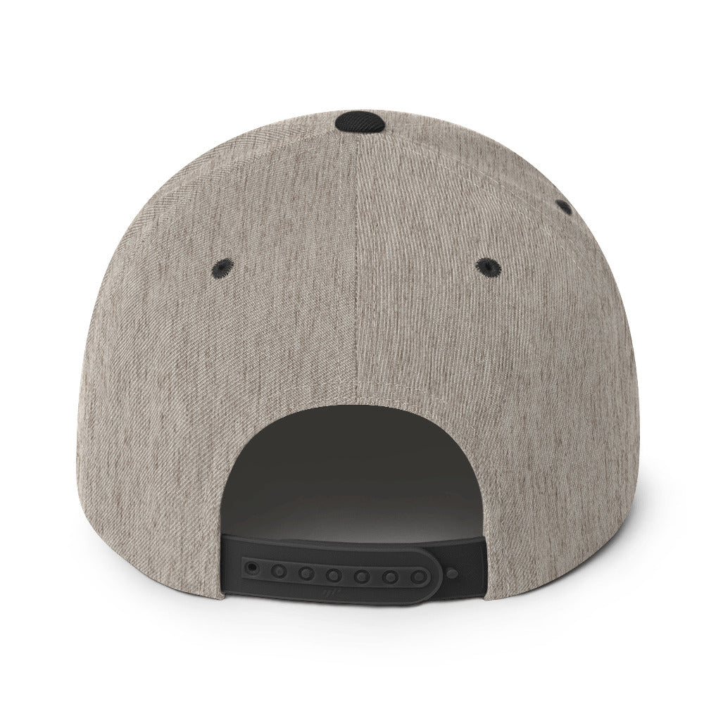 Snapback Hat Embroidered Triton Logo