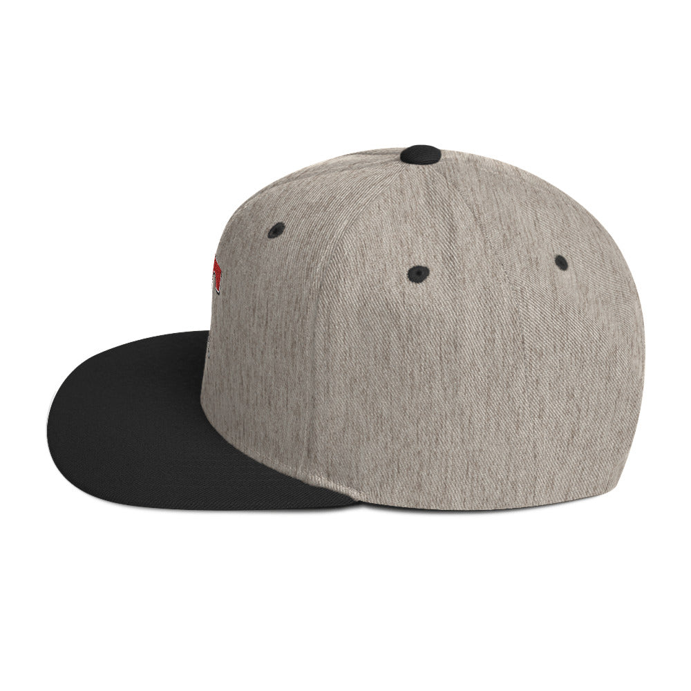 Snapback Hat Embroidered Triton Logo
