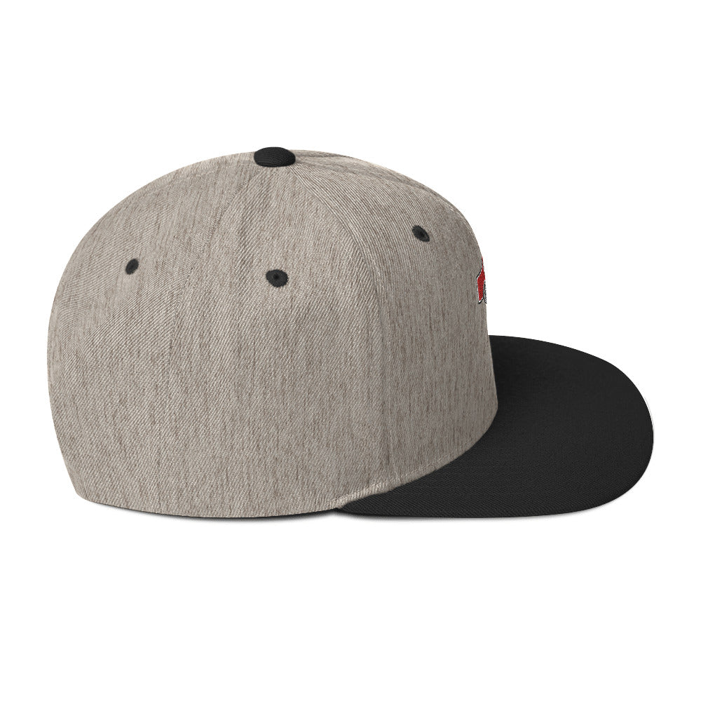 Snapback Hat Embroidered Triton Logo