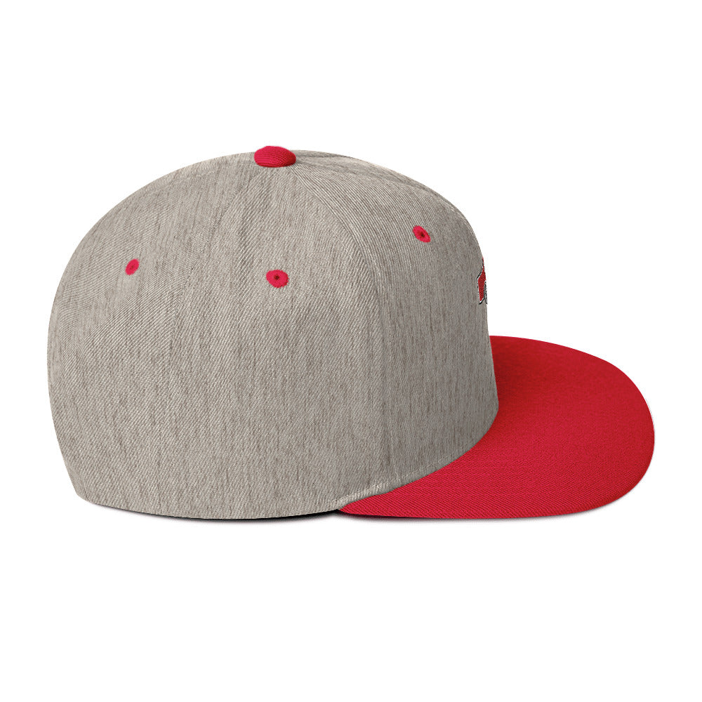 Snapback Hat Embroidered Triton Logo